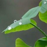 爱你一路一身傲气王