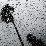 潇潇雨声