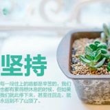 彼月而微望春风