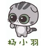 猫咪杨小羽