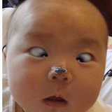 鱼和胸罩不可兼得