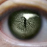 不怕黑的犀利小哥哥