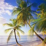 工作生活小技巧