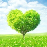 喧嚣下的健康漫话