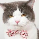 小乌龟的八卦基地