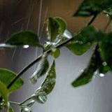 上课了娱乐大咖