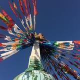 和这个江湖打交道