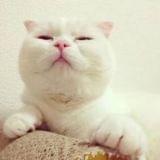 了不起的兽人族