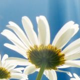 韩鸿才娱乐小分队