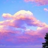 晓川娱乐小分队