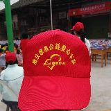 携酒闯天涯
