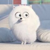 吃吃睡睡的熊猫