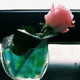 楚楚眼中的城堡