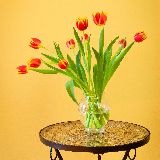 黑夜掩盖不了的光