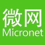 微网