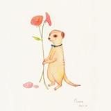 侯小青草绿易盎然