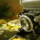 二蛋小秦爱影视