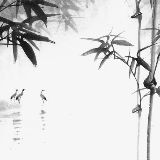 忘忧清乐历史沉浮