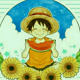 阳光下的白衬衫