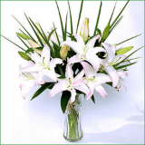 不一样的家居圈