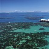 双双娱乐小分队