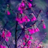 邹天纵娱乐大咖