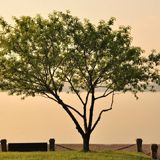 科发源头发养护