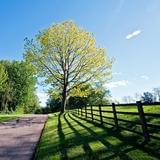 小韩电脑服务厅