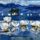 吃点甜的心情好