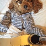 小明天天谈娱乐