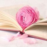 一本让你感动的书