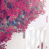 曦雨溪健康专刊