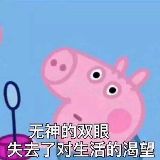 猪猪女孩太南了