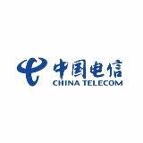 中国电信集团