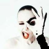 初芽星座指向标