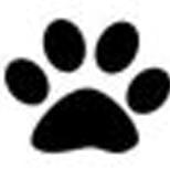 潮流数码科技汇