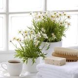 资深护肤咨询济凯