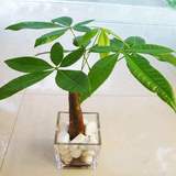 电二爷私人课堂