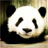 美好一天的生活