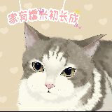 猫奴的裂变之路