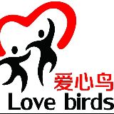 爱心鸟公益