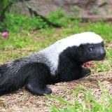 奇妙的万千世界