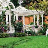 林吉小星说娱乐