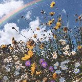 花花世界一朝晖