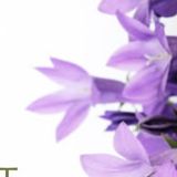 尤嘉许娱乐大咖