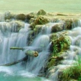 晓婷娱乐小分队