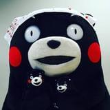 榛子感情阁