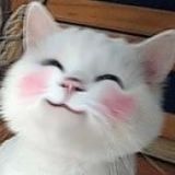 开心大咖直通车