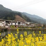 大魔王影视