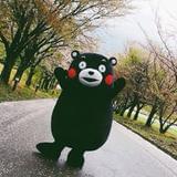 山楂调侃娱乐